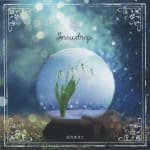 Snowdrop / Akiko Shikata