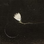 ENDER MAGNOLIA: Bloom in the Mist Original Soundtrack (Digital)