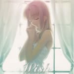 Wish: Fate/stay night · Image Album