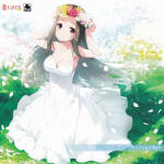 Butterfly Seeker Original Music CD