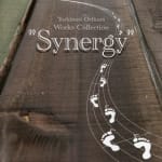 Toshinori Orikura Works Collection "Synergy"