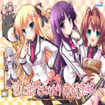 Iro ni Ide ni Keri Waga Koi wa BGM Digital Sound Tracks ~my deep love shows in the blush on my face.~